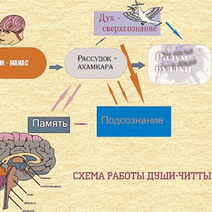 схема работы души