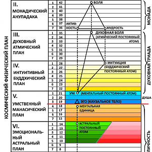 Состав Человека